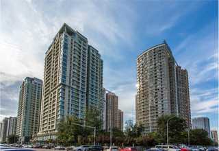 山东本地复合隔墙板便宜