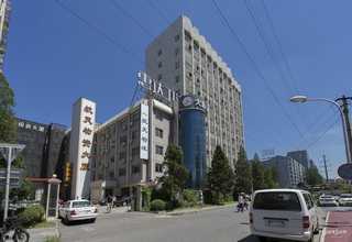 河北法兰球阀报价